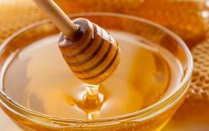 خرید و قیمت انواع عسل وحشی لرستان