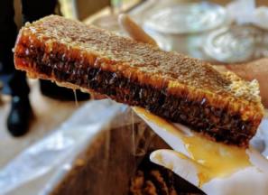 خرید و قیمت انواع عسل سیاه جنگلی