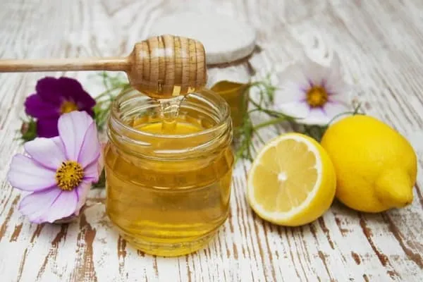 بهترین عسل آویشن ارگانیک + قیمت خرید عالی