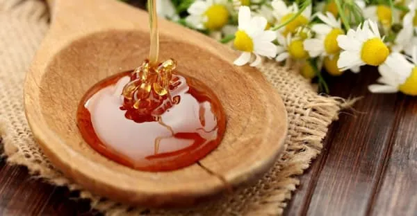 قیمت عسل بهاره طبیعی + پخش تولیدی عمده کارخانه